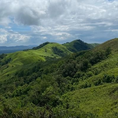 timurembulan's profile picture. akun ini fiktif