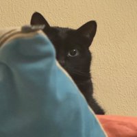 Salem🎬 (@queensalem_) 's Twitter Profile Photo Salem🎬 (@queensalem_) 's Twitter Profile Photo