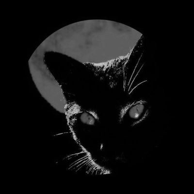 incinerator's profile picture. passion and pain