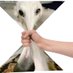 Lorem Ipsum (@sideowip) Twitter profile photo Lorem Ipsum (@sideowip) Twitter profile photo