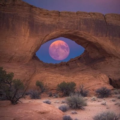 Tashawills09's profile picture. 