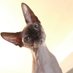 manul (@ejone_n) Twitter profile photo manul (@ejone_n) Twitter profile photo