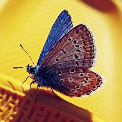 Cate1081's profile picture. 