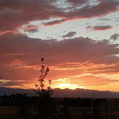 lissluna33's profile picture. 