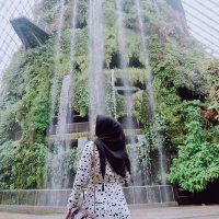Pass Plat R (@pass_plat) 's Twitter Profile