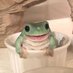 Frogi (@yara_e7) Twitter profile photo Frogi (@yara_e7) Twitter profile photo