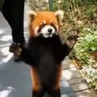 Velocityyy (@velocityyyr6s) 's Twitter Profile Photo Velocityyy (@velocityyyr6s) 's Twitter Profile Photo
