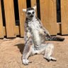 sakurabito2007's profile picture. 音楽自然花🌸面白い人、動物🐱🐶🇯🇵🕊💓-真天地開闢集団-ジグザグ、WANDSは2期から好きですが今が1番🩵✨音楽全般好きで何でも聴きたい系🍀推してる方多数🍀昭和🎂浜崎あゆみ世代✨Superfly鬼束ちひろ等女性シンガーも好き💕呟きは雑多何垢かたまにとっ散らかります💦それでもよければよろしく🙏