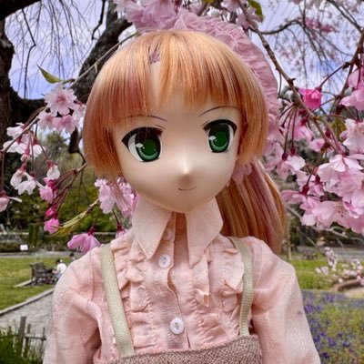長閑さんのプロフィール画像