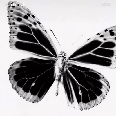 🌈Non ti arrendere mai.💪🏻🤩
Di solito è l'ultima chiave del mazzo quella che apre la porta.🤍🖤🦋