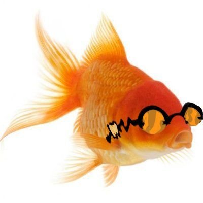 18 yo
left handed french fish who draws too much fanarts
https://t.co/cgw1D7yQTI