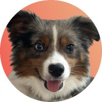 Cozy Toy Aussie (@cozytoyaussie) 's Twitter Profile