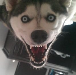 bewaretheholders Profile