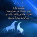 y (@y5751276474288) Twitter profile photo y (@y5751276474288) Twitter profile photo