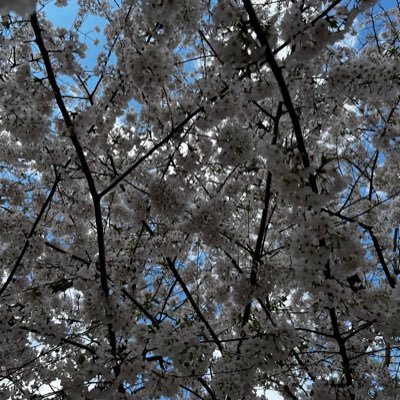 Aneesaj28's profile picture. 