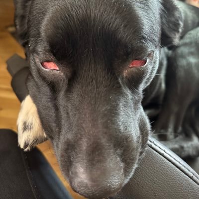 adamgomez32's profile picture. E.G 🤍 upstate, ny