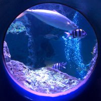 暇を持て余した人 (@sl2wng5zbctdmjp) Twitter profile photo