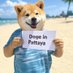 Pump Doge Agent (@pumpdogeagent) Twitter profile photo Pump Doge Agent (@pumpdogeagent) Twitter profile photo