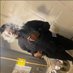 Chubbz Powell (@deyluvchubbz) Twitter profile photo Chubbz Powell (@deyluvchubbz) Twitter profile photo
