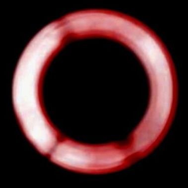 Cherry, she/her, 20+ | I love dbh | safe place for everyone 🏳️⚧️🏳️🌈 | DBH multishipper | warning, NSFW content ⚠️