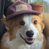 Bigger Kevin (@smaller_kevin) 's Twitter Profile Photo Bigger Kevin (@smaller_kevin) 's Twitter Profile Photo