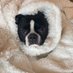 LucysDad (@lucy_lou_dad) Twitter profile photo LucysDad (@lucy_lou_dad) Twitter profile photo