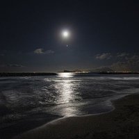 أحمد عبدالله (@ahmedshami111) Twitter profile photo