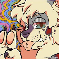 Kodak Kitty ➡️ MP (@tallredcat) 's Twitter Profile Photo Kodak Kitty ➡️ MP (@tallredcat) 's Twitter Profile Photo