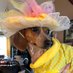 Angel Whisky- RIP Jesse pug sausage RIP Millie (@roxy52fun) Twitter profile photo Angel Whisky- RIP Jesse pug sausage RIP Millie (@roxy52fun) Twitter profile photo