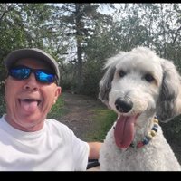 Bob Doornenbal (@mrbdoo) 's Twitter Profile