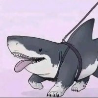 HZQ (@slutty_phd) 's Twitter Profile
