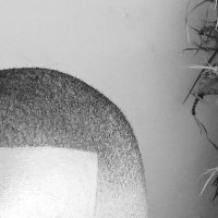 Koketso Tshego (@tshegokoki) 's Twitter Profile Photo Koketso Tshego (@tshegokoki) 's Twitter Profile Photo