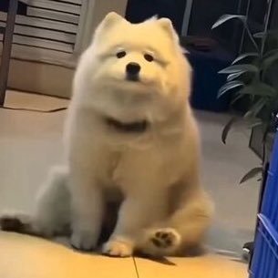 wit_ka50133's profile picture. 