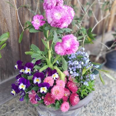 50代一世として日々愛知で頑張っています🥰心は青年🤩
感謝感動、希望前進あるのみ🫶
自然大好き、世界平和、全人類一家族🩷