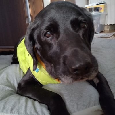 hai10880419's profile picture. 📷愛犬HACHI🐶15歳で🌈
親のボール盤加工の会社を継ぎ21歳で旋盤屋になった🧑‍🔧強面だけど仕事は正確.丁寧💪
主に大手建設機械メーカーの部品加工をしています。NC旋盤(6.6.8.8.8.10㌅）MC40番.ロボドリルT10.T14🔧加工屋嫁👱のつぶやきです✏️
💡無言フォロー失礼します🙇