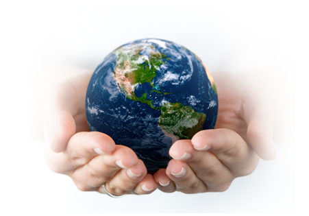 Pollo_Acerbo's profile picture. 