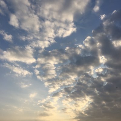 ﴿وَأُفَوِّضُ أَمْرِي إِلَى اللَّهِ ۚ إِنَّ اللَّهَ بَصِيرٌ بِالْعِبَادِ﴾
