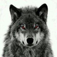 hassan bojack (@edwardff16ff) 's Twitter Profile