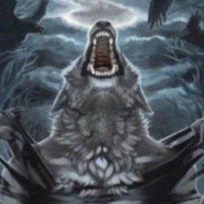 zakhovar's profile picture. 