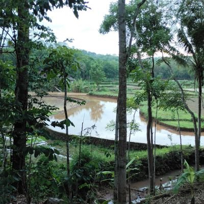 Kejujuran harus diperjuangkan dan dilaksanakan, keberanian harus diamalkan , menolong oranglain serta tanpa pandang bulu ras golongan serta agama