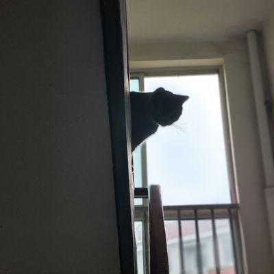 syt1748672's profile picture. 