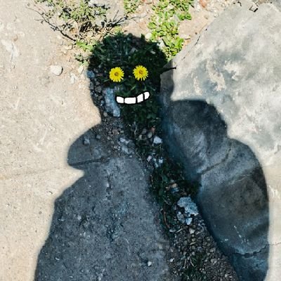 beibingyang1986's profile picture. 