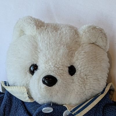 kumachi_365's profile picture. しろくまのくまち ぬい撮り📱食べ物と日常