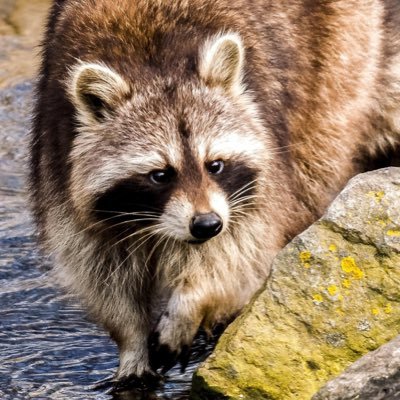 お掃除の達人を目指して日々精進中!/ハウスクリーニング歴4年、まだまだ新米/電気工事士、資格だけの未熟者/3歳息子が可愛すぎる!/川越、八王子、練馬辺りでお仕事してます