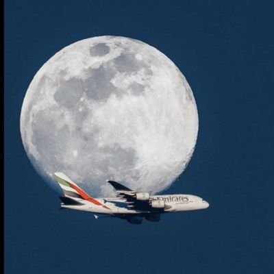 راشد السويدي نوخذة بحر وكبير الغواصين ومحترف صيد والتواصل بكل تقدير واحترام