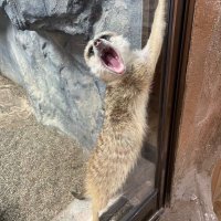 おおしま (@moneyshark7777) 's Twitter Profile
