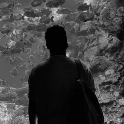 svireylah's profile picture. Diam Diam Berdiri/ Berdiri Diam Diam