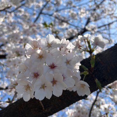 Natalie42564365's profile picture. 早生まれ子育て中