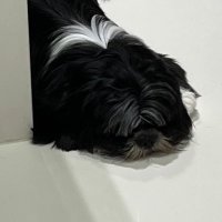 sailorcamis 🐆 (@sailorcamis) 's Twitter Profile