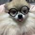 心羽-同じ推しの方仲良くしてください😊 (@syokun_johnnys) Twitter profile photo 心羽-同じ推しの方仲良くしてください😊 (@syokun_johnnys) Twitter profile photo